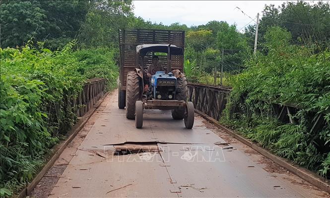 Mỗi lần các phương tiện lớn đi qua, cây cầu lại bị rung lắc dữ dội. Ảnh: Đậu Tất Thành – TTXVN
