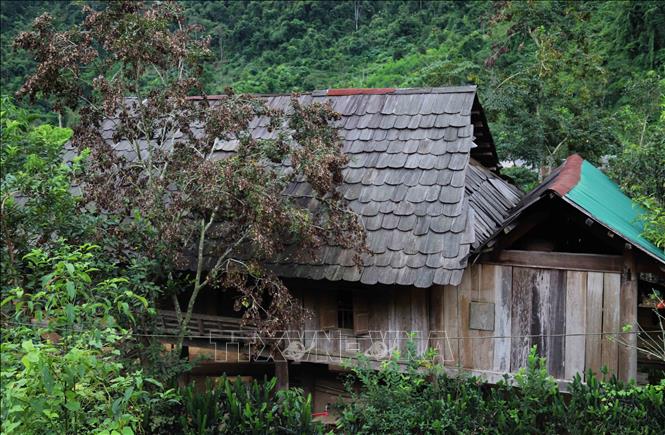 Nhiều nhà sàn cổ với kiến trúc mang đậm nét văn hóa của đồng bào Thái vẫn còn lưu giữ tại bản Na Ngân, xã Nga My (Tương Dương, Nghệ An). Ảnh: Xuân Tiến - TTXVN 