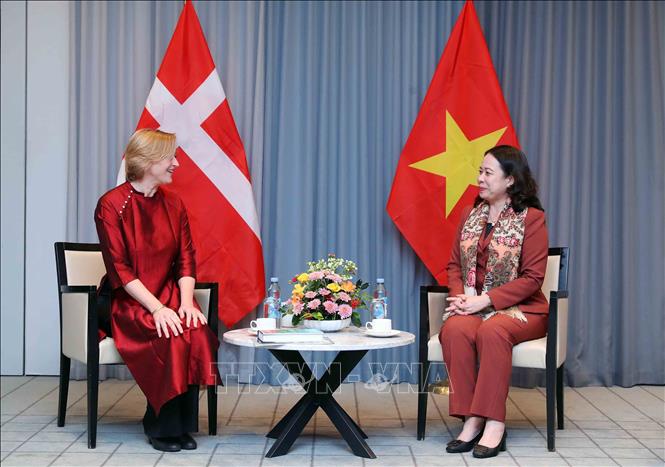 Vice President Vo Thi Anh Xuan on November 20 in Copenhagen receives President of the Denmark-Vietnam Friendship Association Trine Glue Đoàn. VNA Photo: An Đăng