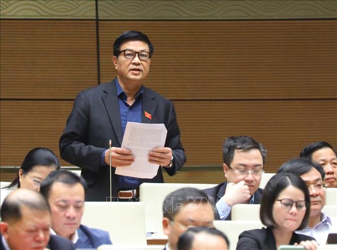 Đại biểu Quốc hội tỉnh Khánh Hòa Đỗ Ngọc Thịnh phát biểu ý kiến. Ảnh: Văn Điệp - TTXVN