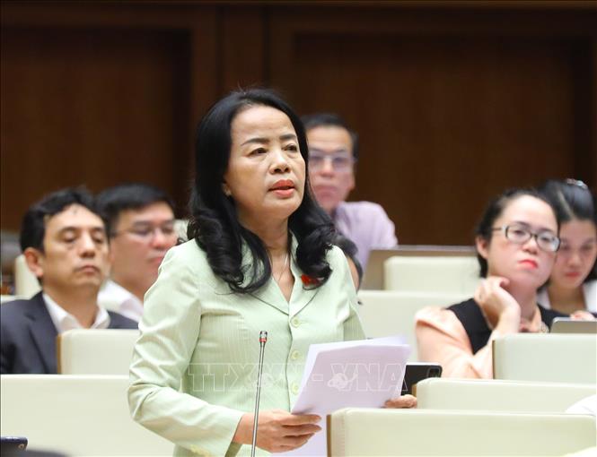 Đại biểu Quốc hội thành phố Đà Nẵng Nguyễn Thị Kim Thúy phát biểu ý kiến. Ảnh: Văn Điệp - TTXVN