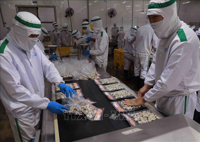 The Lenger Seafood Vietnam Co., Ltd. at the An Xa IP in the northern province of Nam Dinh is expected to reach an output of 10,000 tonnes a year by 2024. VNA Photo: Vũ Sinh