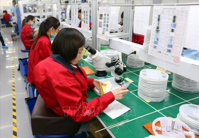 Lao động khuyết tật làm việc tại xưởng sản xuất cùng với những người lao động bình thường khác tại Công ty TNHH Điện tử Chilisin Việt Nam. Ảnh: Danh Lam – TTXVN