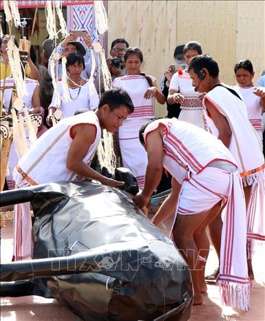 The sacrificed buffalo (symbol) is slaughtered to donate to Gods. VNA Photo: Cao Nguyên