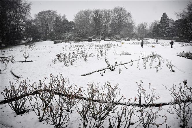Tuyết phủ trắng ở Lever Causeway, gần Birkenhead, Tây Bắc vùng England, ngày 9/3/2023. Ảnh: AFP/TTXVN