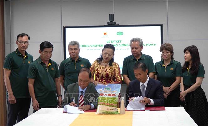Lễ ký kết Hợp đồng chuyển nhượng quyền của giống lúa Nàng Hoa 9, từ Công ty TNHH Hạt giống Hoa Tiên cho Công ty Cổ phần Giống cây trồng Lộc Trời (Tập đoàn Lộc Trời). Ảnh: TTXVN-phát