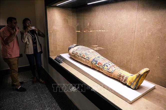 Cổ vật được trưng bày bên trong Bảo tàng Imhotep tại Saqqara, phía nam thủ đô Cairo, Ai Cập, ngày 3/12/2023. Ảnh: THX/TTXVN