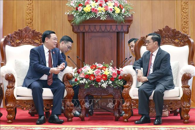 A view of the meeting. VNA Photo: Doãn Tấn