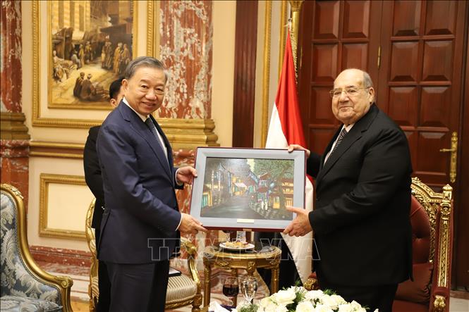 Minister of Public Security To Lam meets with President of the Egyptian Senate and Chairman of the Nation’s Future Party (NFP) Abdel-Wahab Abdel-Razek. VNA Photo: Nguyễn Trường 