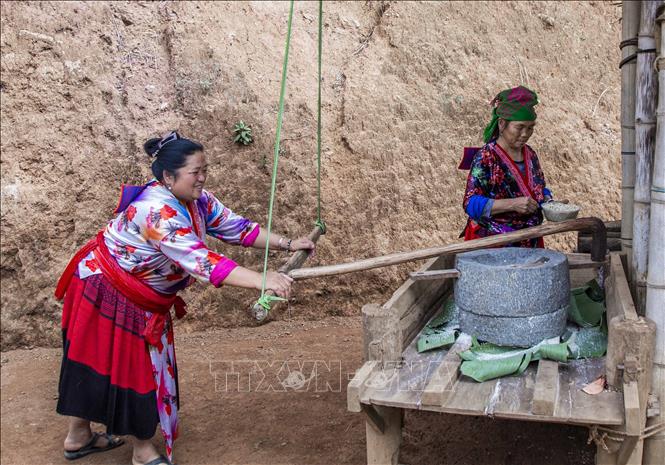 Nguyên liệu chủ yếu làm mèn mén là ngô được xay nhuyễn bằng cối đá. Ảnh: Xuân Tư – TTXVN