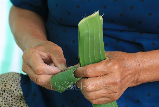 Công đoạn khoanh bầu bằng lá chuối để chuẩn bị ươm cây giống. Ảnh: Lê Thúy Hằng - TTXVN