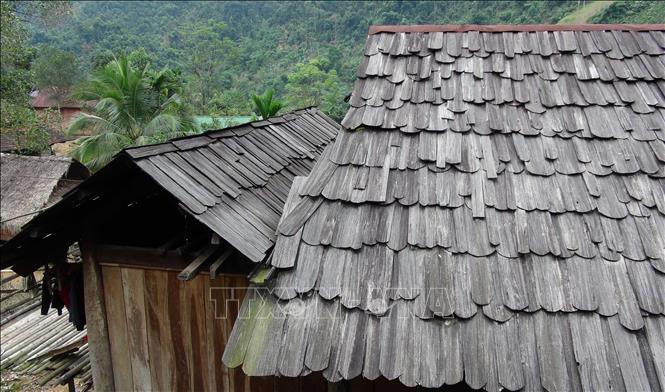 Mái nhà sàn và nhà bếp liền kề được lợp bằng gỗ Pơ mu. Ảnh: Xuân Tiến - TTXVN                             