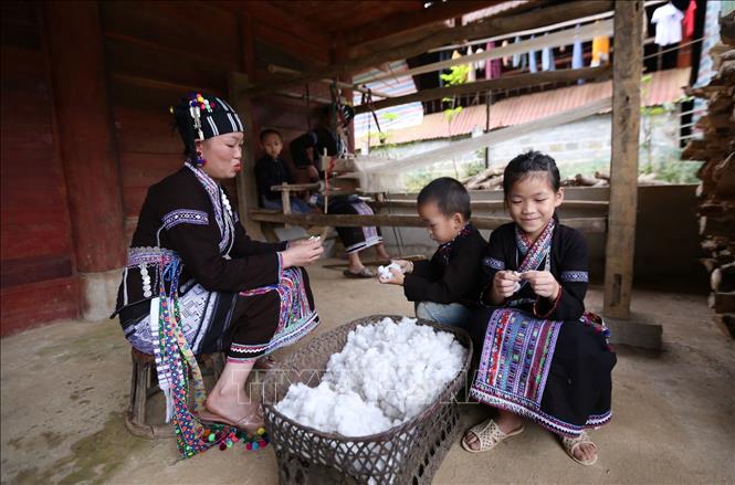 Tách hạt ra khỏi bông để dệt vải đây là một công đoạn cũng hết sức tỉ mỉ thể hiện sự cần cù chịu khó của người Lự. Ảnh: Quý Trung – TTXVN