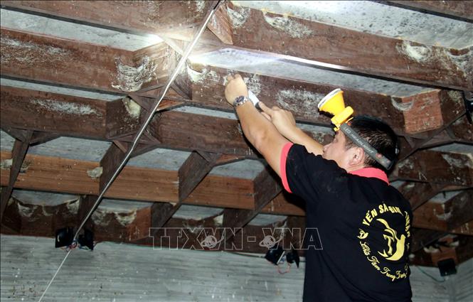 Anh Đinh Văn Thuận thu hái tổ yến. Ảnh: Nguyễn Lành - TTXVN 