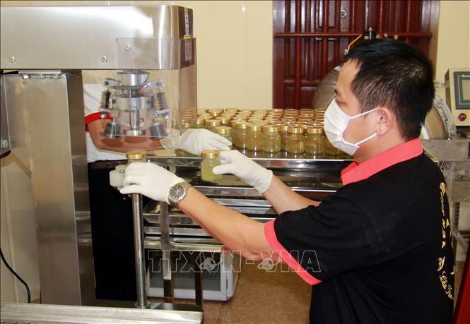 Anh Đinh Văn Thuận đóng chai sản phẩm yến chưng sẵn. Ảnh: Nguyễn Lành - TTXVN