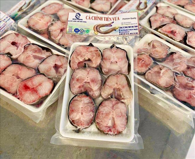 Sản phẩm “Cá chình thăng hoa – Mai Thịnh” do Trần Mạnh Thịnh xây dựng cung cấp ra thị trường sản phẩm đạt Chứng nhận Hệ thống quản lý an toàn thực phẩm tiêu chuẩn ISO 22000:2018. Ảnh: Võ Dung - TTXVN 
