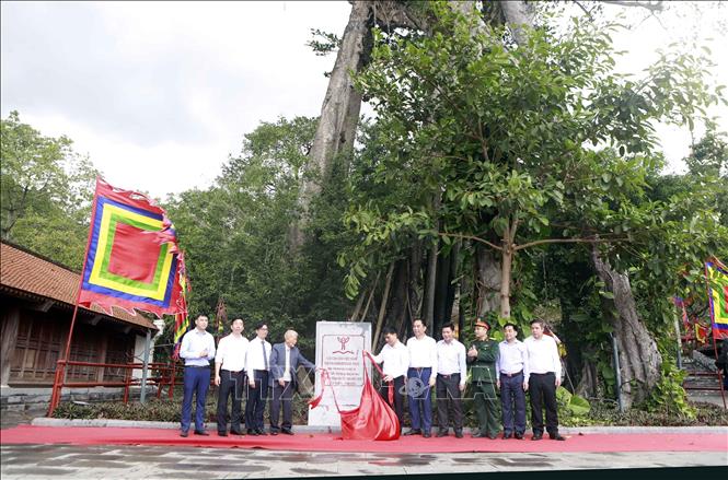 Lãnh đạo huyện Tam Đảo và lãnh đạo Hội Bảo vệ thiên nhiên Việt Nam tại lễ gắn biển công nhận cây di sản Việt Nam cho cây Đa thuộc đền Thõng thuộc quần thể Di tích lịch sử và Danh lam thắng cảnh Quốc gia đặc biệt Tây Thiên huyện Tam Đảo,  Ảnh: Hoàng Hùng - TTXVN