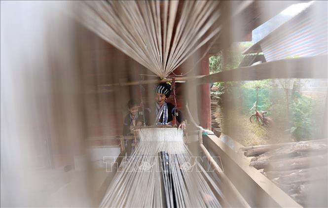 A Lu woman may stay by her loom all day long, from dusk till dawn, focusing on completing a beautiful brocade fabric. VNA Photo: Quý Trung
