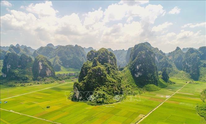 Phong cảnh hữu tình của cánh đồng lúa xã Yên Thịnh (Hữu Lũng, Lạng Sơn). Ảnh: Anh Tuấn – TTXVN