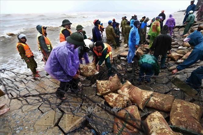 Lực lượng quân đội phối hợp với chính quyền và người dân xã Cẩm Nhượng, huyện Cẩm Xuyên, Hà Tĩnh khẩn trương khắc phục điểm sạt lở đê kè biển, khu vực nhiều hộ dân sống sát biển. Ảnh: TTXVN