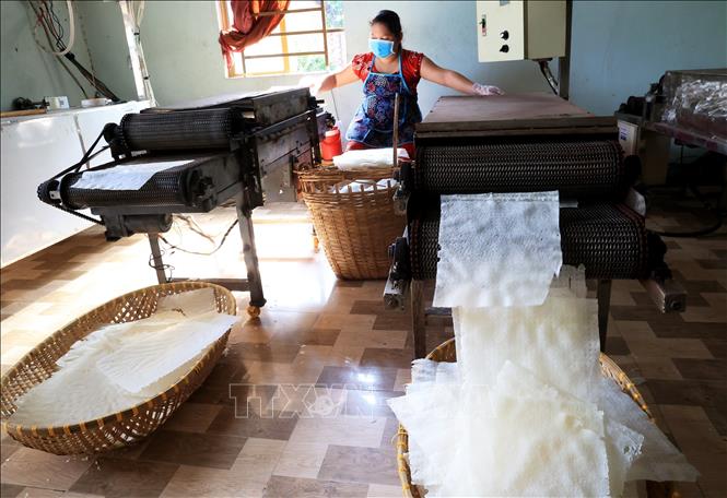 Sản xuất bánh tráng phơi sương Trảng Bàng. Ảnh: Hồng Đạt - TTXVN
