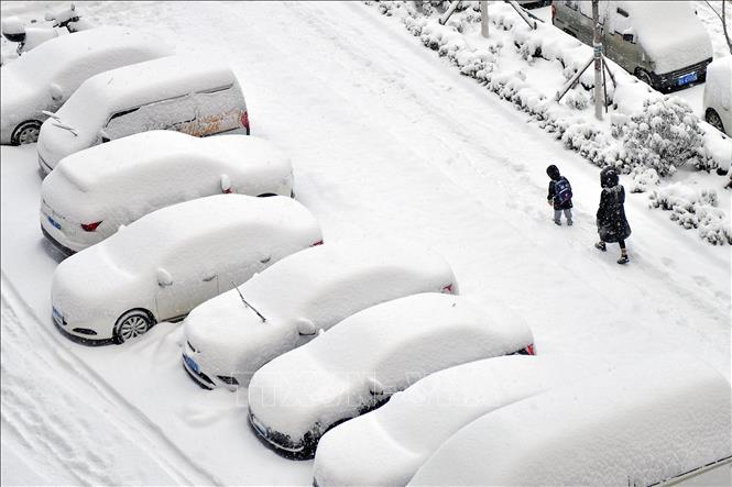 Tuyết rơi dày đặc tại Yên Đài, tỉnh Sơn Đông, Trung Quốc, ngày 20/12/2023. Ảnh: AFP/TTXVN