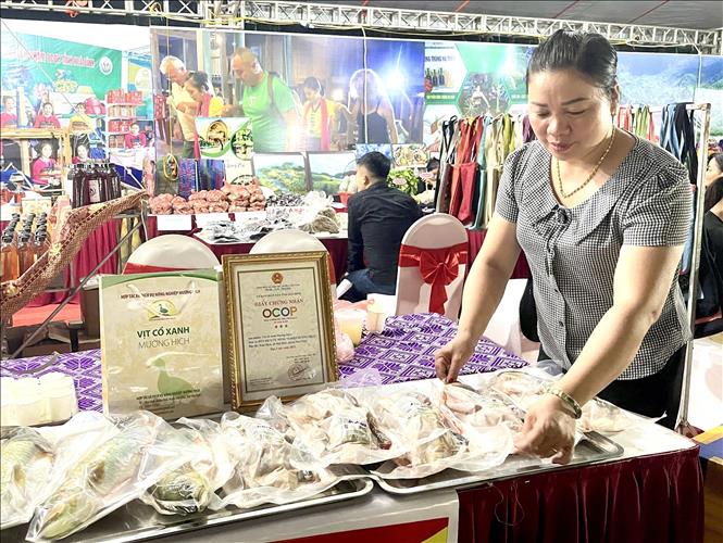 Sản phẩm OCOP Vịt cổ xanh Mường Hịch, huyện Mai Châu (Hòa Bình) được trung bày tại Phiên chợ vùng cao tỉnh Hoà Bình năm 2023. Ảnh: Vũ Hà- TTXVN 