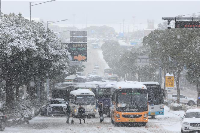 Tuyết rơi dày đặc tại đảo Jeju, Hàn Quốc, ngày 22/12/2023. Ảnh:  YONHAP/TTXVN