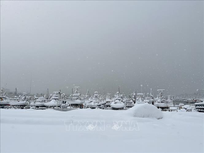 Tuyết rơi dày đặc tại Cảng Bieung ở Gunsan, Hàn Quốc, ngày 22/12/2023. Ảnh: YONHAP /TTXVN 