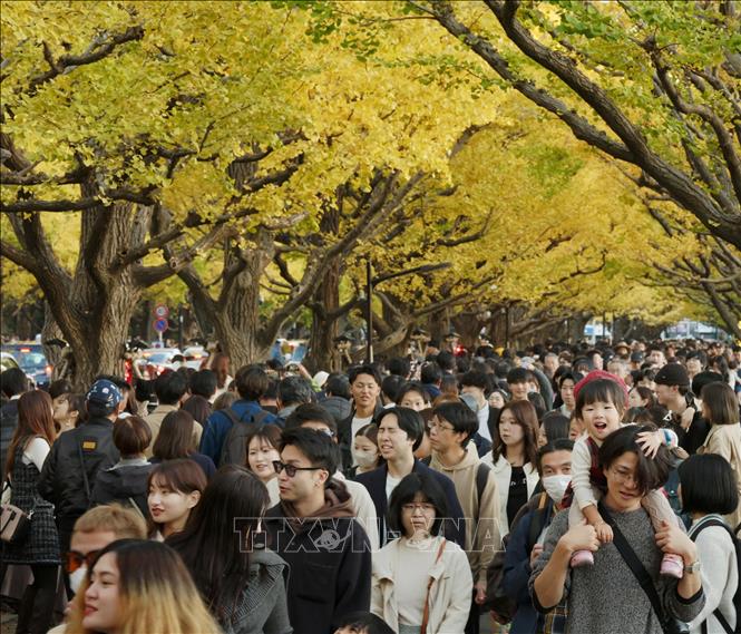 Người dân di chuyển trên phố ở Tokyo, Nhật Bản. Ảnh: Kyodo/TTXVN