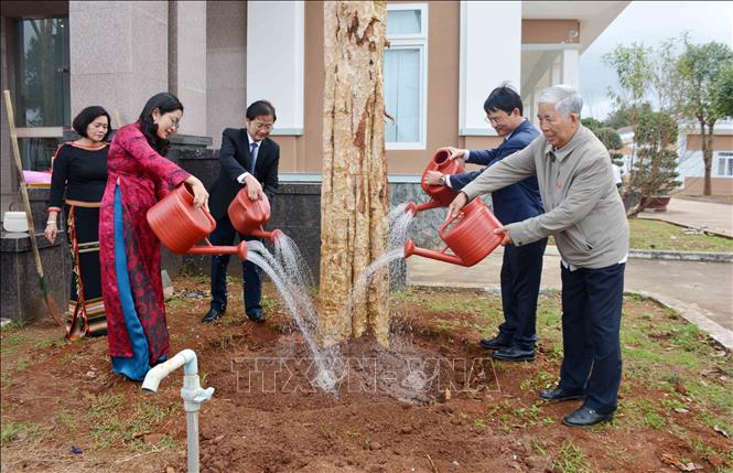 Lãnh đạo tỉnh Đắk Lắk và lãnh đạo thị xã Buôn Hồ trồng cây kỷ niệm nhân 15 năm ngày thành lập thị xã (23/12/2008 – 23/12/2023). Ảnh: Hoài Thu – TTXVN