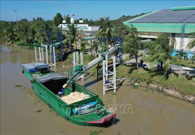 Vận chuyển gạo xuất khẩu bằng đường sông ở nhà máy của Công ty TNHH MTV Lương thực Thoại Sơn (Tập đoàn Lộc Trời). Ảnh: Vũ Sinh - TTXVN