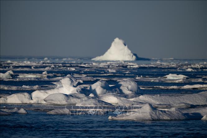 Ngày 12/12/2023, Cơ quan Khí quyển và Đại dương quốc gia Mỹ (NOAA) công bố báo cáo cho thấy nhiệt độ không khí bề mặt ở Bắc Cực mùa Hè năm 2023 (từ tháng 7-9) là 6,4 độ C, mức cao nhất kể từ khi các dữ liệu này bắt đầu được thu thập vào năm 1900. Ảnh: Băng tan do nhiệt độ ấm lên tại đảo Greenland, thuộc Bắc Cực ngày 16/8/2023. Ảnh: AFP/TTXVN