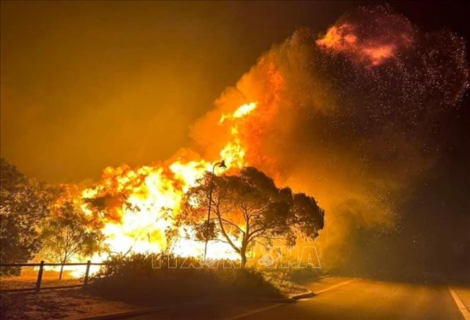 Ngày 23/11/2023, lực lượng cứu hỏa Australia nỗ lực ứng phó với một đám cháy rừng lan nhanh ở ngoại ô thủ phủ Perth của bang Tây Australia trong một đợt nắng nóng gay gắt. Ngọn lửa đã thiêu rụi 10 ngôi nhà, 4 nhà kho và một số ô tô. Ảnh: AFP/TTXVN 