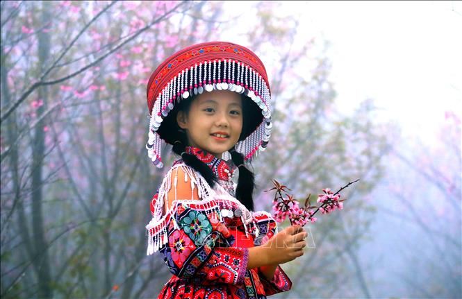 Bé gái thích thú khi được gia đình đưa đi tham quan, ngắm các loài hoa đua nở tại Khu du lịch Pha Đin Top trên đèo Pha Đin. Ảnh: Quang Quyết-TTXVN.