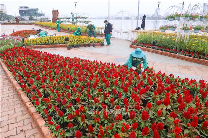 Công ty cây xanh sắp đặt các tiểu cảnh hoa tại điểm vui chơi trên đường Bạch Đằng . Ảnh: Trần Lê Lâm – TTXVN