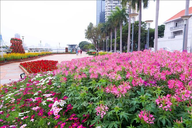 Các tiểu cảnh hoa được lắp đặt tại các điểm vui chơi cộng cộng ở Đà Nẵng. Ảnh: Trần Lê Lâm - TTXVN
