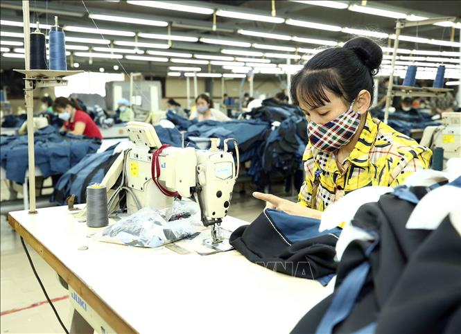 May hàng xuất khẩu tại công ty may Hồ Gươm, Mỹ Hào, Hưng Yên. Ảnh: Trần Việt - TTXVN