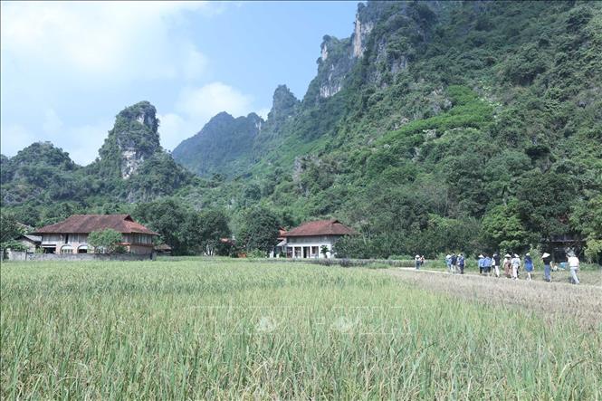 Du khách vào Làng du lịch cộng đồng xã Yên Thịnh (gồm 3 thôn: Đồng Tiến, Làng Áng và Gạo Ngoài) hiện nay đã có 5 hộ đang hoạt động homestay và 3 hộ đang chờ cấp phép. Ảnh: Anh Tuấn – TTXVN
