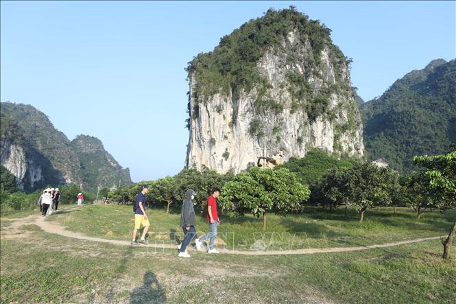 Du khách tham quan trải nghiệm mô hình trồng nhãn - ổi - na của hộ ông Phùng Văn Cường, thôn Đồng Tiến, xã Yên Thịnh. Ảnh: Anh Tuấn – TTXVN