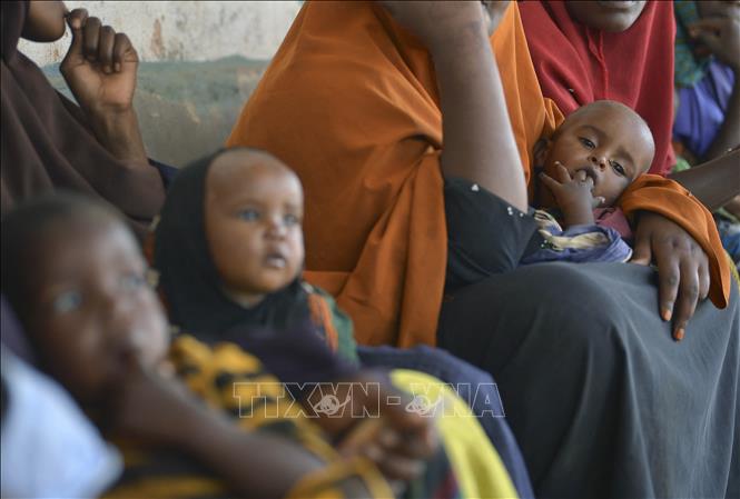 (tư liệu) Trẻ em bị suy dinh dưỡng chờ khám bệnh tại một trung tâm y tế ở Baidoa, Somalia. Ảnh: AFP/TTXVN