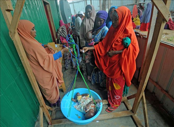 (tư liệu) Trẻ em bị suy dinh dưỡng điều trị tại một trung tâm y tế ở ngoại ô Mogadishu, Somalia. Ảnh: AFP/TTXVN