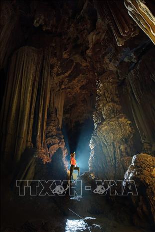 Thạch nhũ độc đáo trong hang Sơng. Ảnh: Hoàng Trung - TTXVN phát