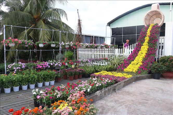Cổng hoa ở phường Tân Quy Đông, thành phố Sa Đéc (tỉnh Đồng Tháp). Ảnh: Nguyễn Văn Trí – TTXVN