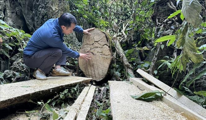 Rừng phòng hộ tại bản Séo Lèng 2, xã Phìn Hồ bị phá tan hoang nhiều năm nay. Ảnh: Nhóm phóng viên TTXVN