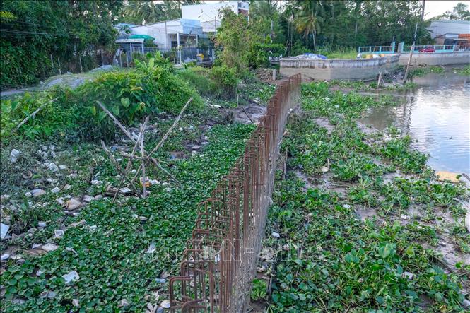 Một đoạn kè rạch Cái Sơn thi công dở dang, trơ vỉ sắt. Ảnh: Thanh Liêm - TTXVN