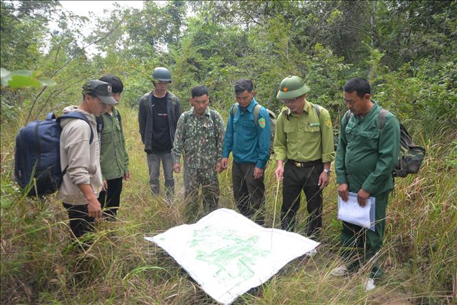 Lực lượng quản lý, bảo vệ rừng Khu bảo tồn thiên nhiên Ea Sô tăng cường công tác tuần tra tại các điểm nóng xâm phạm tài nguyên rừng. Ảnh: Tuấn Anh – TTXVN