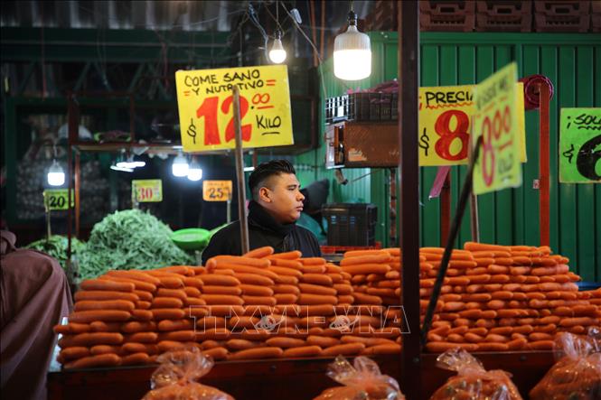 Gian hàng nông sản tại chợ đầu mối Central de Abasto, ngoại ô thủ đô Mexico City. Ảnh: Phi Hùng-PV TTXVN tại Mexico