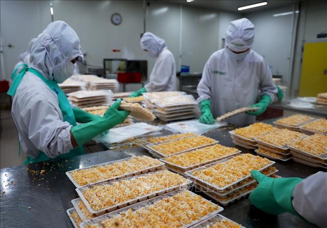 Kim ngạch xuất khẩu thuỷ sản ước đạt 9,2 tỷ USD năm 2023. Ảnh: Hồng Đạt - TTXVN
