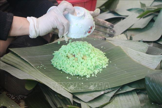 Ngoài vị nếp truyền thống, nhiều hộ gia đình trộn dùng lá dứa để tạo màu xanh cho bánh chưng. Ảnh: Bích Huệ - TTXVN